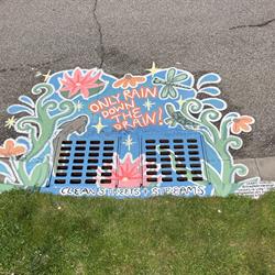 Sabbie Narwal (Maple Valley St) - Streams of Life